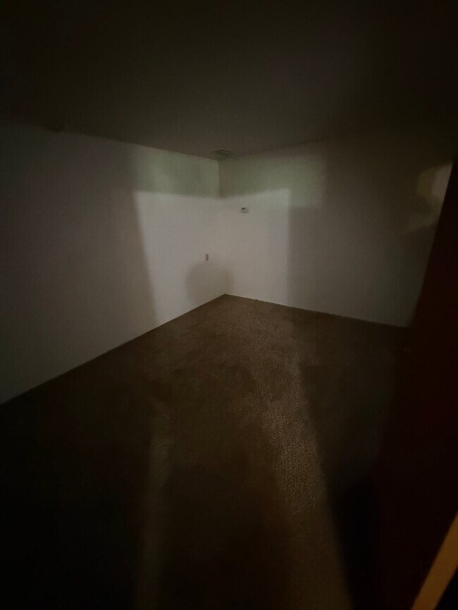 Foto del edificio - 224 Halsey St
