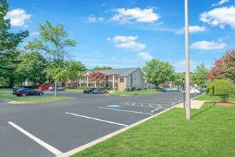 Crossing at Reedy Creek photo'