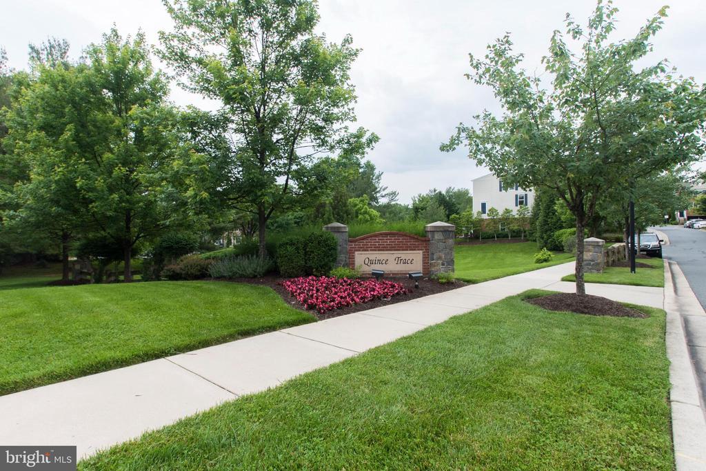Primary Photo - 15711 Quince Trace Terrace