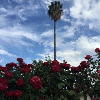 Building Photo - 267 N Florence St