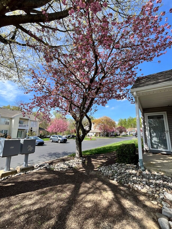 Building Photo - 2 Bed 2 Bath Condo in Council Rock School ...