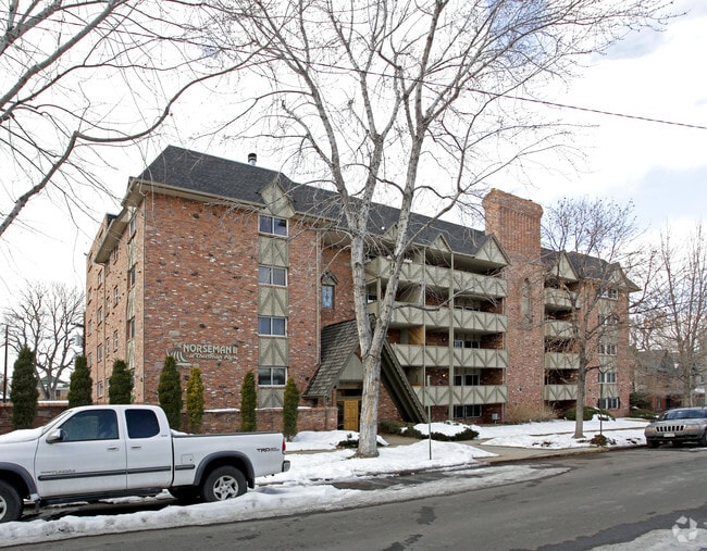 The Norseman II at Cheeseman Park