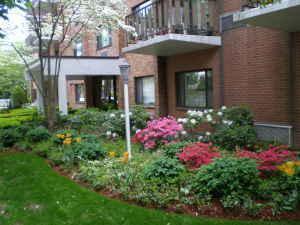 Foto del edificio - 2 bedroom in Brookline MA 02446