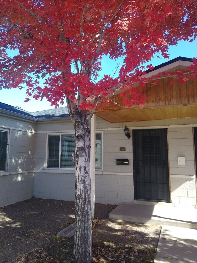 Foto del edificio - Mountain View 2 Bedroom 1 Bath Duplex on a Hill