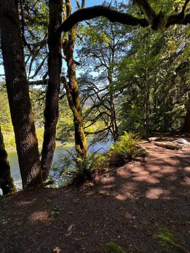 Foto del edificio - River Rapids