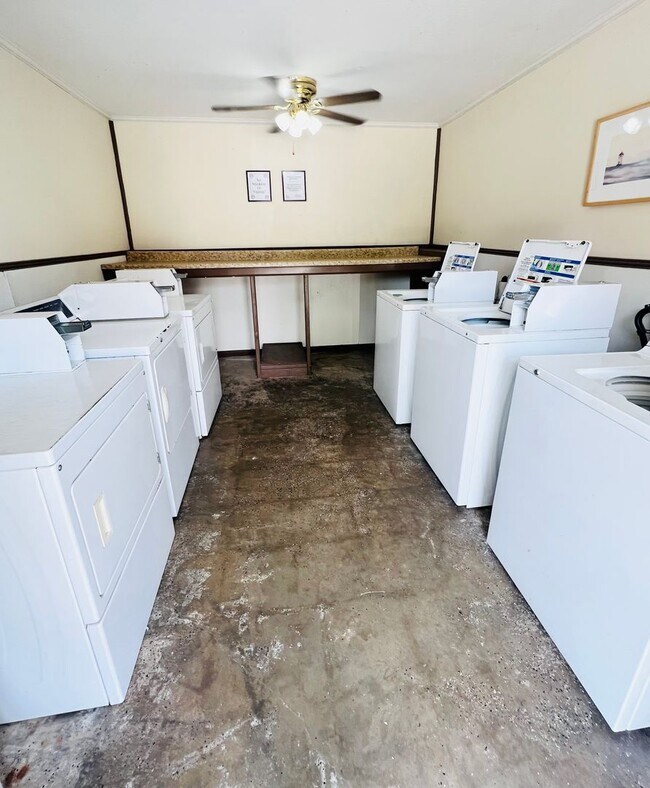 Foto del interior - Pied Piper