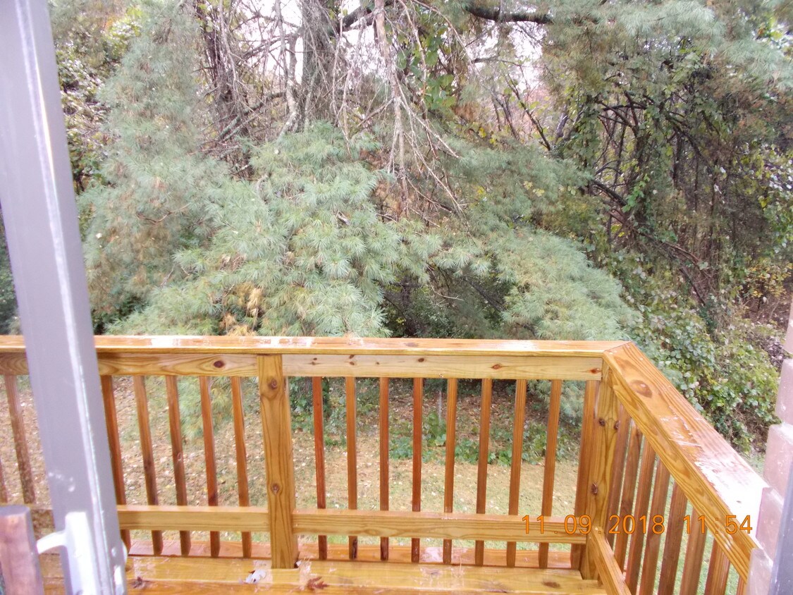 295 N Illinois Ave Unit 1, Oak Ridge, TN 37830 Apartments in Oak