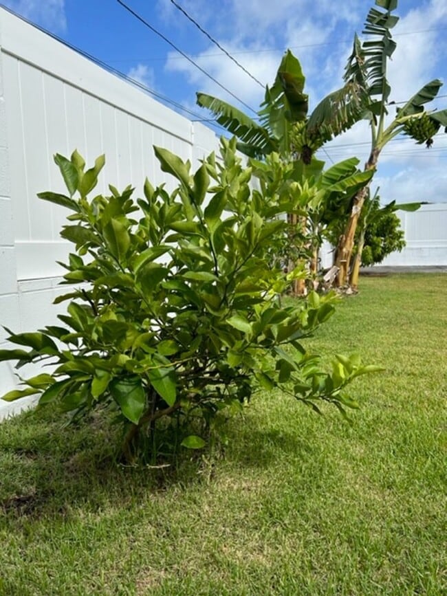 Building Photo - Available on 12/16/25, spacious 1570 sq ft, 3 Bedrooms, 2 Baths, 2 Car Garage Single-Family Home ...