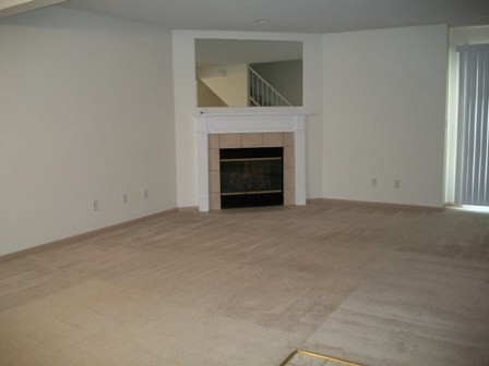 LIVING ROOM - 1208 Pebblecreek Dr