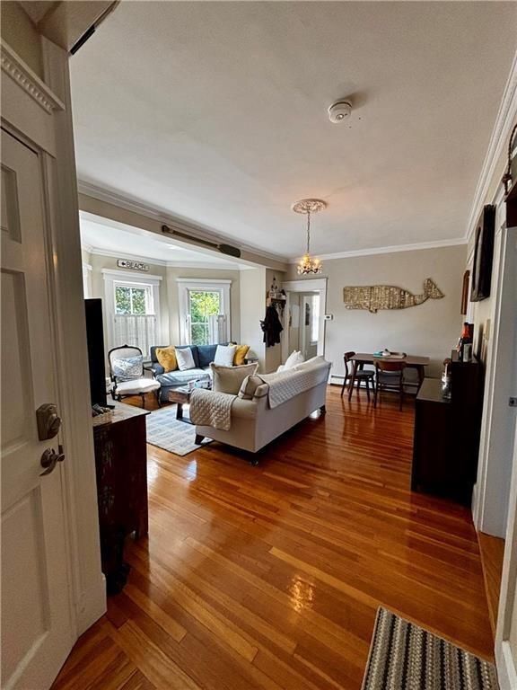 Foto del edificio - 51 Annandale Rd