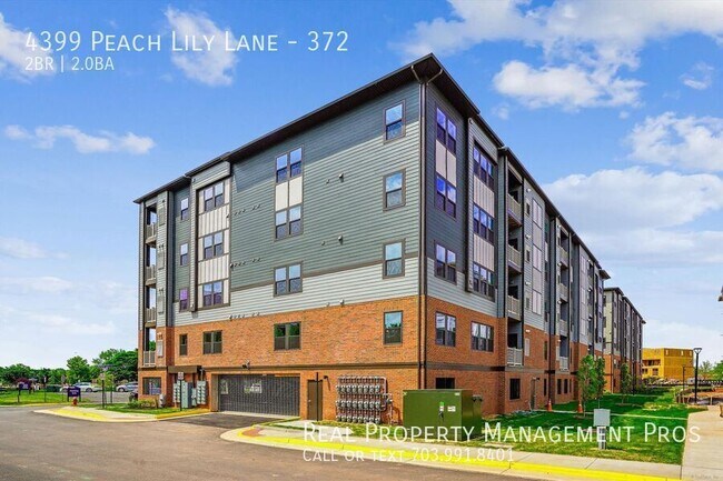 Foto del edificio - 4399 Peach Lily Ln