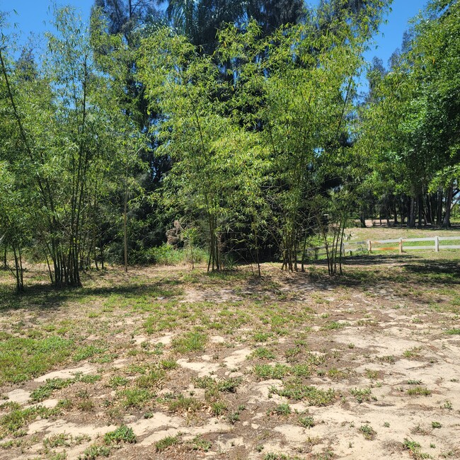 Building Photo - 706 N Crooked Lake Dr