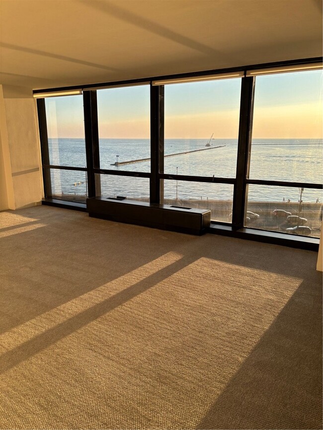 Foto del edificio - 910 N Lake Shore Dr