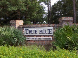 Building Photo - 410 Blue Stem Dr