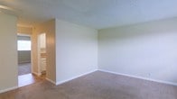 This single-floor residential space presents a clean, functional layout designed for comfortable everyday living. The main living area features wall-to-wall carpeting in a warm neutral tone, providing a soft and inviting underfoot feel. The walls are finished in a soft, light green-beige hue that lends a calm and understated ambiance to the room. A textured popcorn ceiling adds a classic touch overhead, consistent throughout the space.

The open layout allows for flexible furniture arrangement, making it well-suited for a variety of living configurations. An open passageway connects the main living area to the kitchen, which is visible in the background and features white cabinetry with raised-panel detailing, offering ample storage. The kitchen area also includes what appears to be a countertop workspace, adding functional utility to the home.

White baseboard trim runs along the perimeter of the room, providing a clean contrast against the neutral walls and carpeting. The overall aesthetic is straightforward and move-in ready, with a neutral palette that allows for easy personalization. The space is well-suited for those seeking a practical, low-maintenance living environment with a cohesive and understated interior design sensibility.