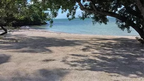 Foto del edificio - 141 N Bay Harbor Dr