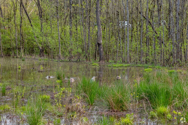 You will often see different types of animals in Heritage Park.