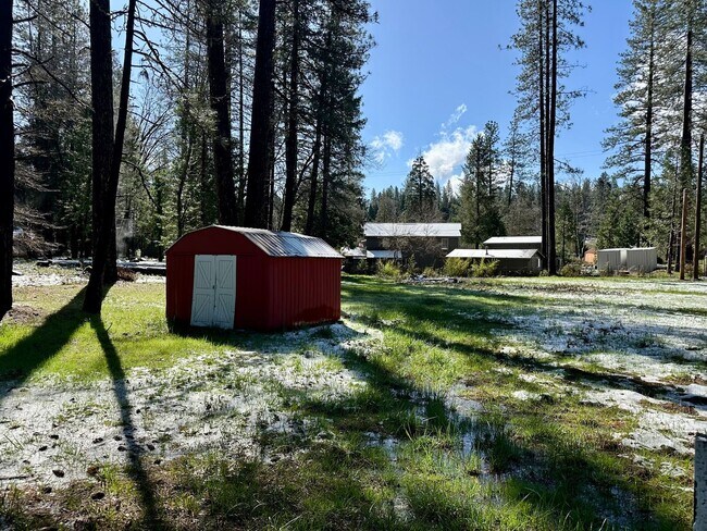 Foto del edificio - Wooded 2 bedroom cabin in nice neighborhood