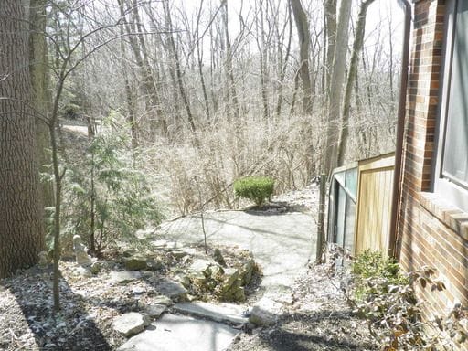 Outside Patio - 3703 Canon Ridge Pl