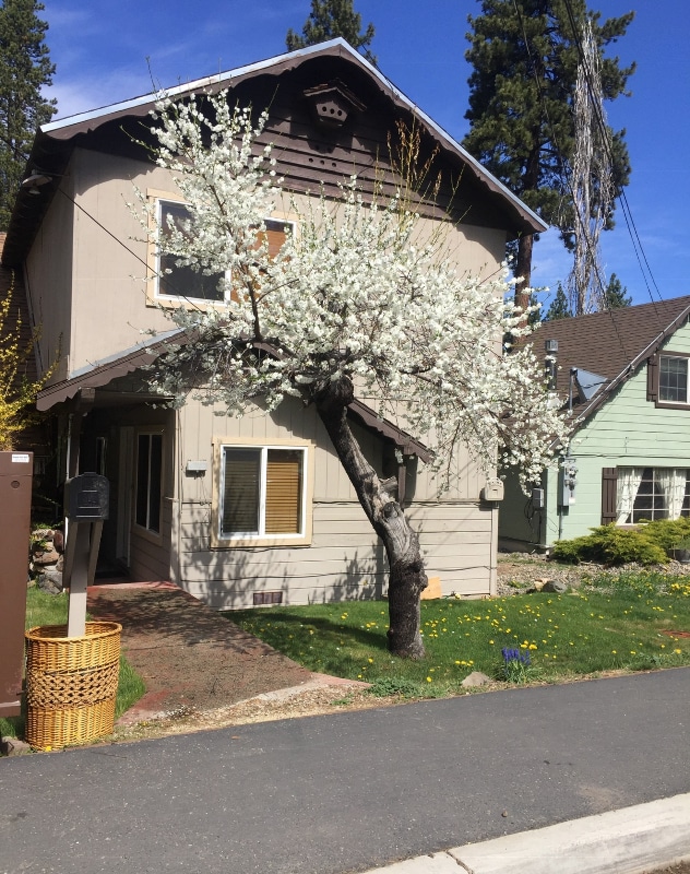 Foto del edificio - 4005 Cedar Ave