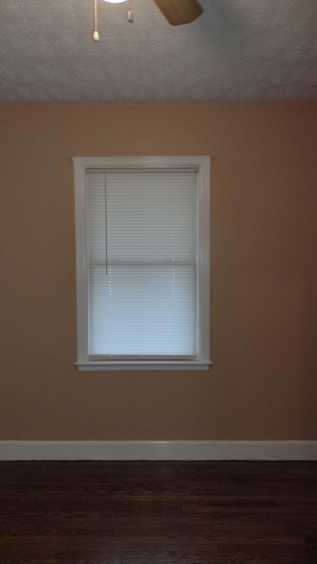 bedroom 1 - 2501 Bolling Ave
