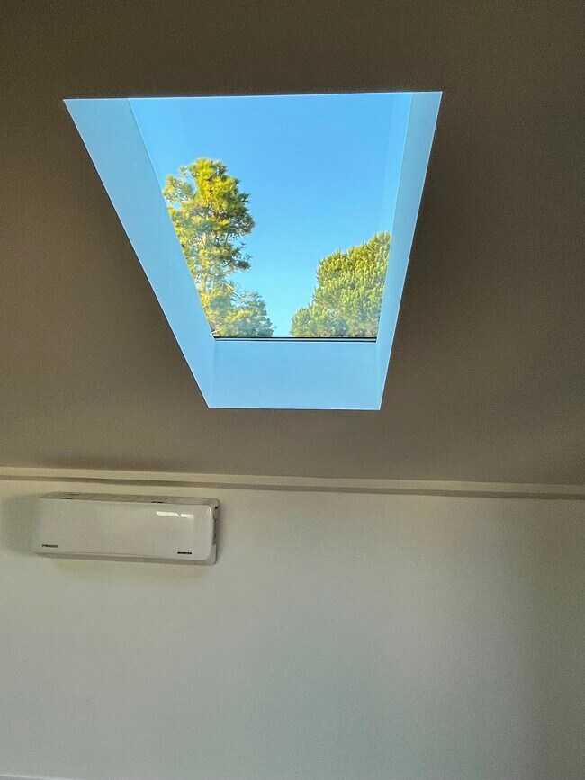 View of trees from one of the skylights - 7934 Zeus Dr