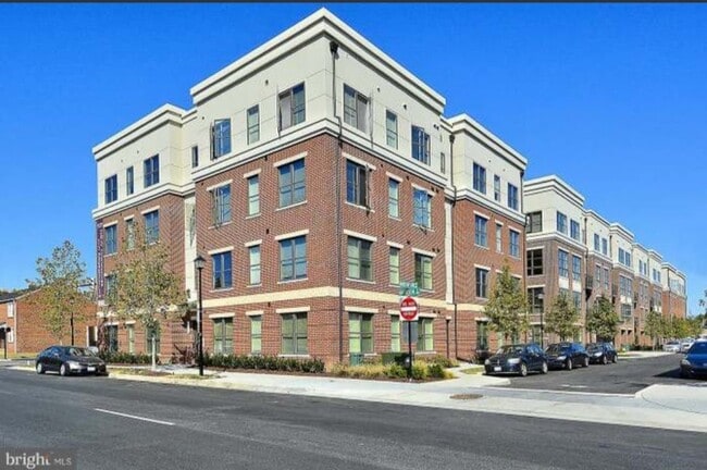 Beautiful, well-maintained contemporary - 915 N Patrick St