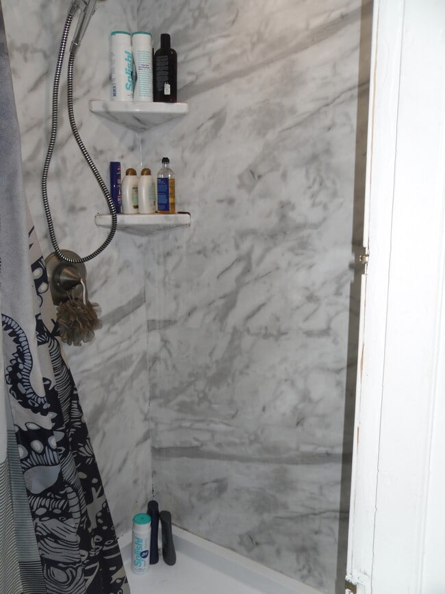 Updated Shower - 223 Halket St