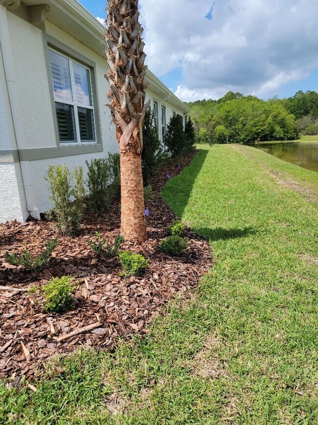 Foto del edificio - Palm Coast Plantation