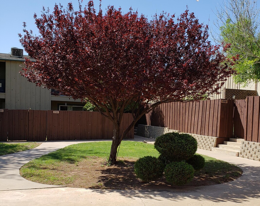 Primary Photo - 1012 Limestone Ave