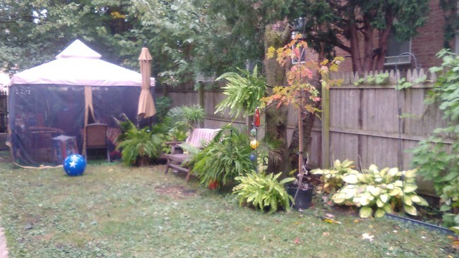 Patio lateral - 2430 N 77th Ave