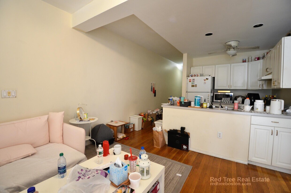 Primary Photo - 62 Egmont St