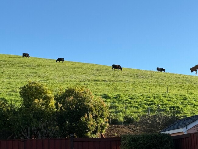 Foto del edificio - 2033 Silvercrest Dr