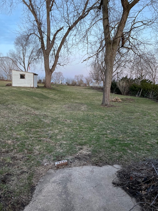 Backyard - 611 S Main St