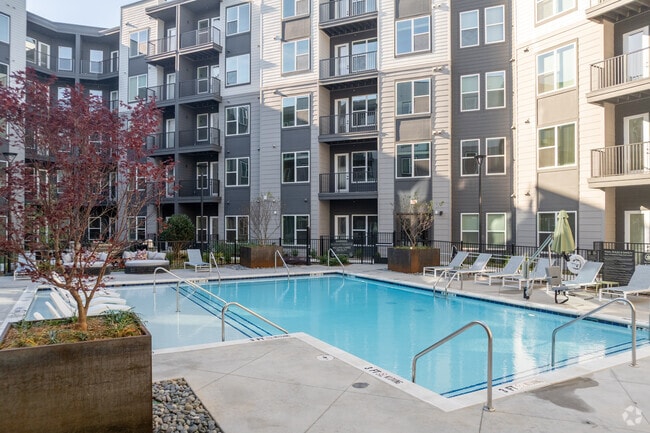 Piscina y patio - The Jayne