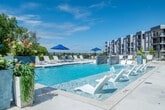 Located at 2015 E Springs Dr in Madison, Wisconsin, this outdoor amenity space offers a resort-inspired pool deck designed for relaxation and recreation. The centerpiece is a large, rectangular swimming pool with clear blue water, complemented by integrated in-water lounge chairs that allow residents to recline directly in the shallow water alongside active water jets and fountains. The pool's edge features tiled accent walls and step-in entry points with sturdy handrails for easy access. Surrounding the pool, a spacious concrete sun deck provides ample room for white lounge chairs and side tables, arranged in groups and shaded by bold blue market umbrellas. Decorative planters filled with vibrant tropical flowers and lush greenery add color and visual interest throughout the space. A covered outdoor lounge and dining area with café-style seating is positioned adjacent to the pool, offering a shaded retreat overlooking the water. The entire deck is enclosed by a sleek black iron fence, providing security while maintaining open sightlines to the mature trees and open sky beyond. The backdrop of the modern multi-story residential building, finished in a striking navy blue and light gray exterior, anchors the space with a contemporary architectural aesthetic. This well-appointed outdoor area is designed to maximize enjoyment under the open Wisconsin sky.