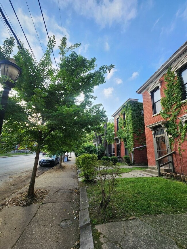 Building Photo - Light and Airy 2 bedroom 1 bathroom apartm...