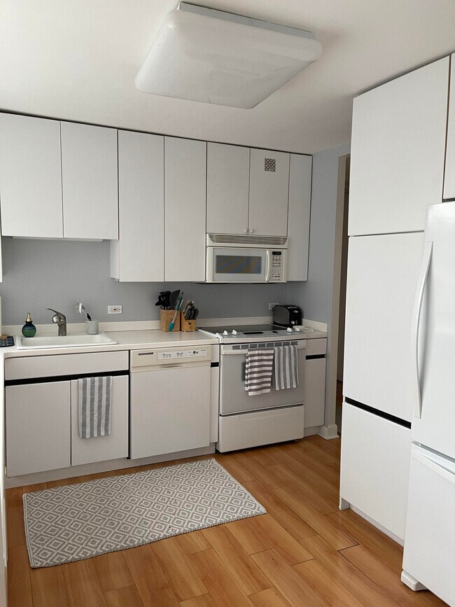 Kitchen View 1 - 2020 N Lincoln Park W