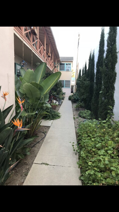 Upper beautiful unit - 1311 15th St