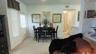This single-story residence presents a welcoming and cohesive interior anchored by an open-concept layout that connects the living and dining areas. The dining area serves as a visual centerpiece, featuring a dark wood pub-style table paired with matching high-back chairs, positioned beneath a curated wall arrangement of framed equestrian artwork and a gold-trimmed mirror. A decorative floral centerpiece and accent pieces add warmth to the setting. Soft, neutral-toned carpeting extends throughout the main living space, contributing to the room's understated elegance. Natural light filters in through a window fitted with white shutters near the entryway, brightening the pale green walls. A partial view of the living area reveals plush seating with a cozy throw, suggesting a comfortable and functional space for everyday use. A hallway visible toward the rear of the dining area leads to additional rooms, with a glimpse of what appears to be a bathroom or secondary space. Overhead lighting and ceiling vents are thoughtfully integrated, ensuring comfort throughout. The overall ambiance is tidy, classic, and livable.