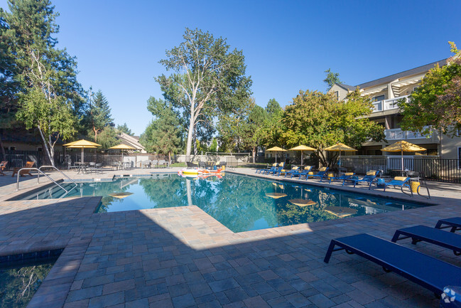 Pool Area - Reedhouse Apartments