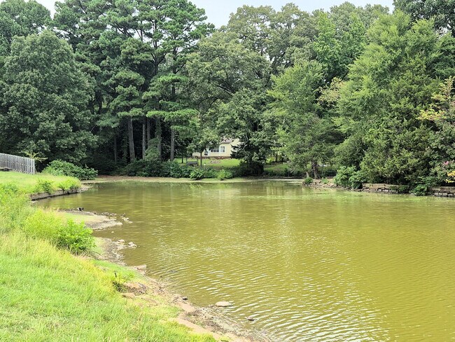 View from accross the lake - 8085 Cedar Hill Ln