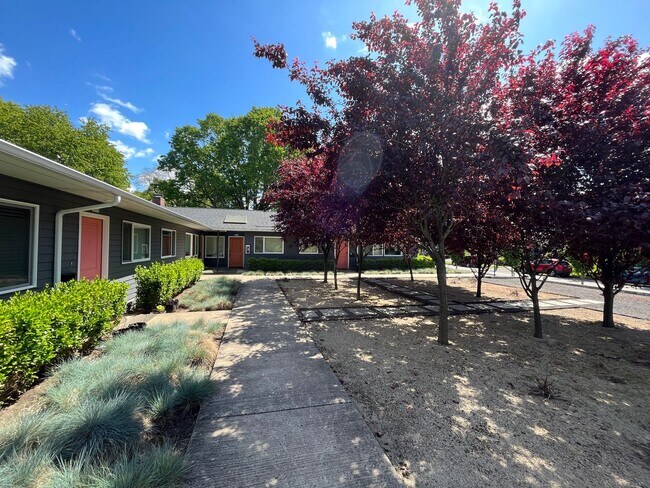 Foto del edificio - Close-in / Stunning 2 Bedroom Flat! Private Covered Patio, In-Unit Washer & Dryer, Community Gard...