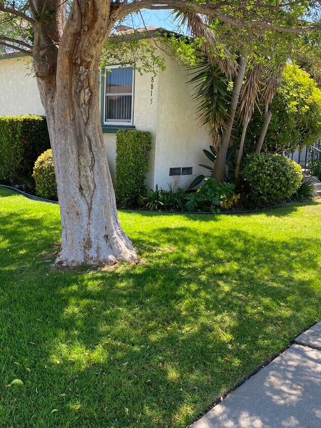 Front of Duplex - 8815 Reading Ave