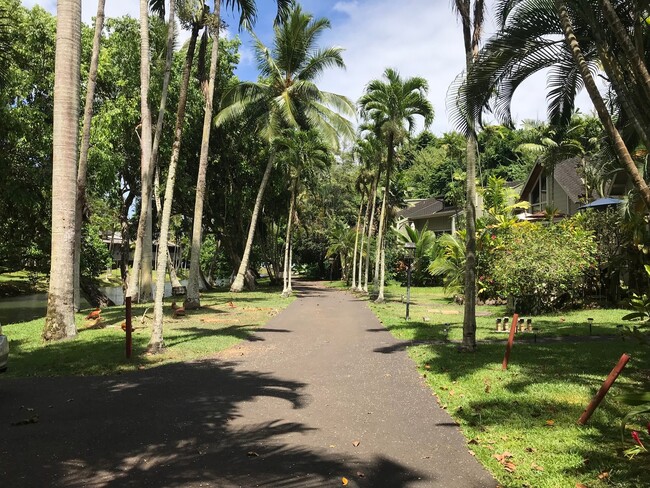 Foto del edificio - Kauhale Beach cove! Tropical, Serene and v...