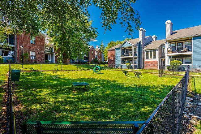 Beneficios para mascotas en Timber Hollow Apartments - Timber Hollow