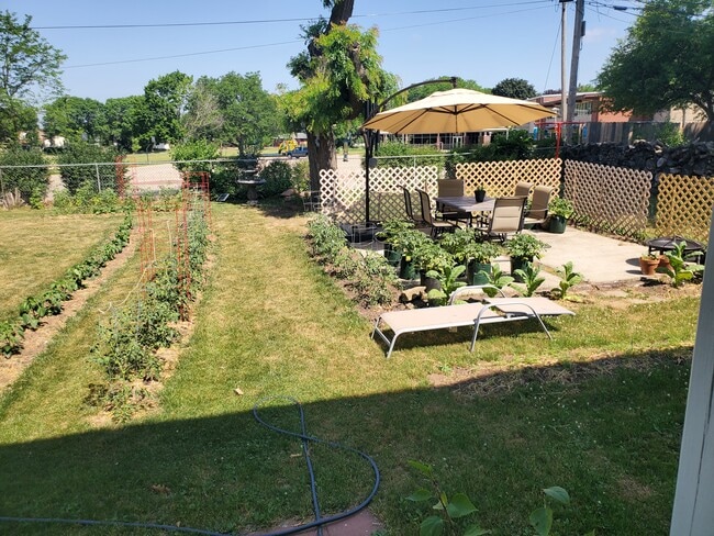 Yard - 4402 Dwight Dr