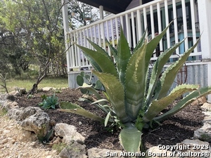 Foto del edificio - 517 Timberdell Dr