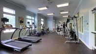 This fitness center offers a comprehensive workout environment designed to accommodate a variety of exercise routines. The room is finished with soft blue-gray walls accented by white crown molding, lending the space a clean and polished aesthetic. Durable speckled rubber flooring spans the entire area, providing both safety and comfort underfoot.

Cardio equipment is prominently featured, including multiple treadmills, elliptical trainers, and a stationary bike, all arranged to allow ample space for movement between machines. A multi-station strength training unit occupies one side of the room, accompanied by a weight bench and free weight rack, making the space suitable for both resistance and functional training.

A full-length mirror wall runs along one side, visually expanding the room while allowing users to monitor their form during workouts. Recessed panel lighting and ceiling fans provide consistent illumination and airflow throughout. Natural light filters in through several windows along the walls, enhancing the overall brightness of the space. Motivational posters add a finishing touch, contributing to an energized and functional atmosphere.