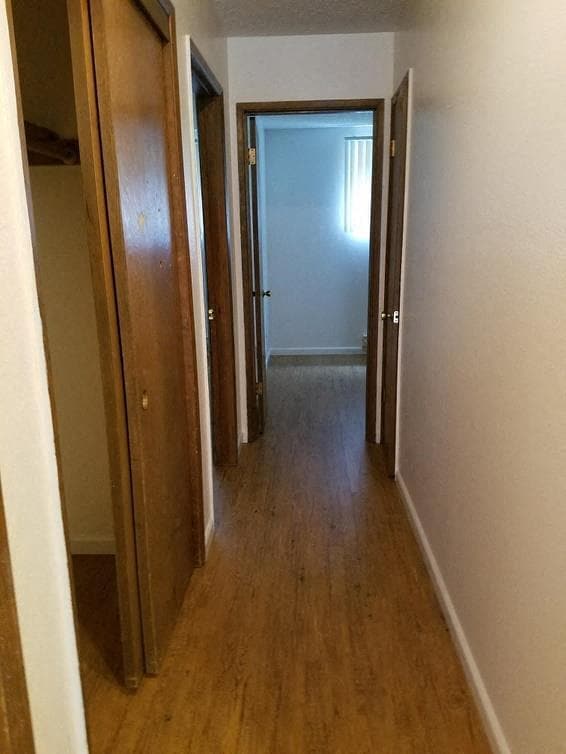 Building Photo - Rochelle Apartments